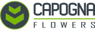 Logo de Capogna Flowers Inc.