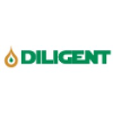 Logo de DILIGENT TECHNICAL SERVICES LTD