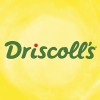 Logo de Driscoll's