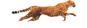 Logo de ENSEIGNES VALOIS