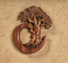 Logo de Everwood