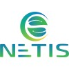 Logo de NETIS Group