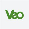 Logo de Veo Worldwide Services