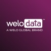 Logo de Welo Data